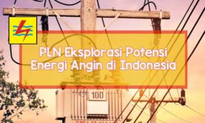 pln