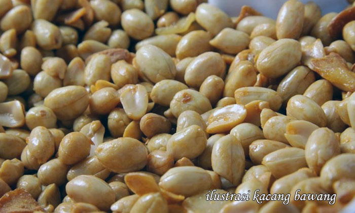 kacang bawang