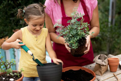 Berkebun Mini Di Rumah