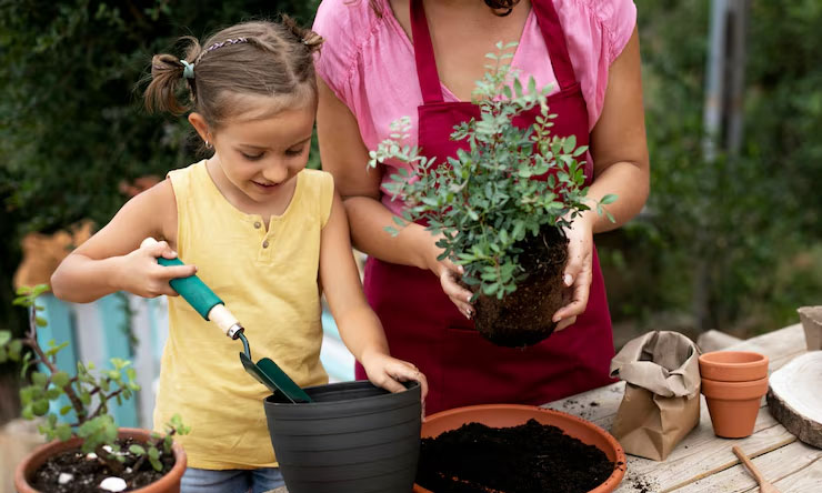 Berkebun Mini Di Rumah